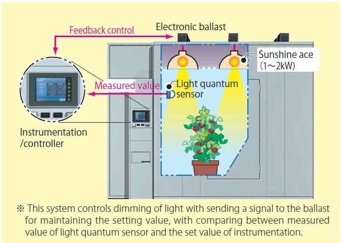 TGH (Continuous dimming)5