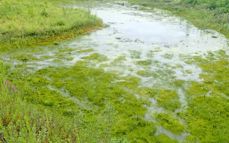 アクアマリンふくしま縄文の里 especmic