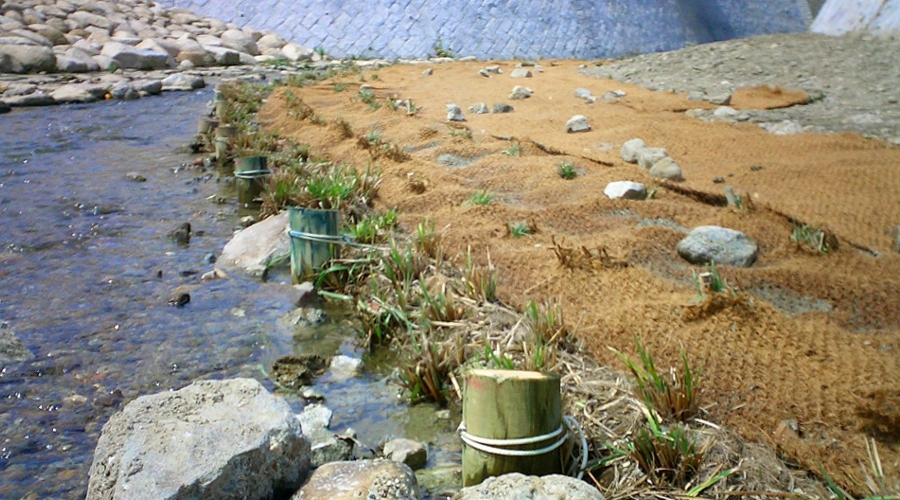 植栽済みベストマンロール_河川_杭打ち especmic