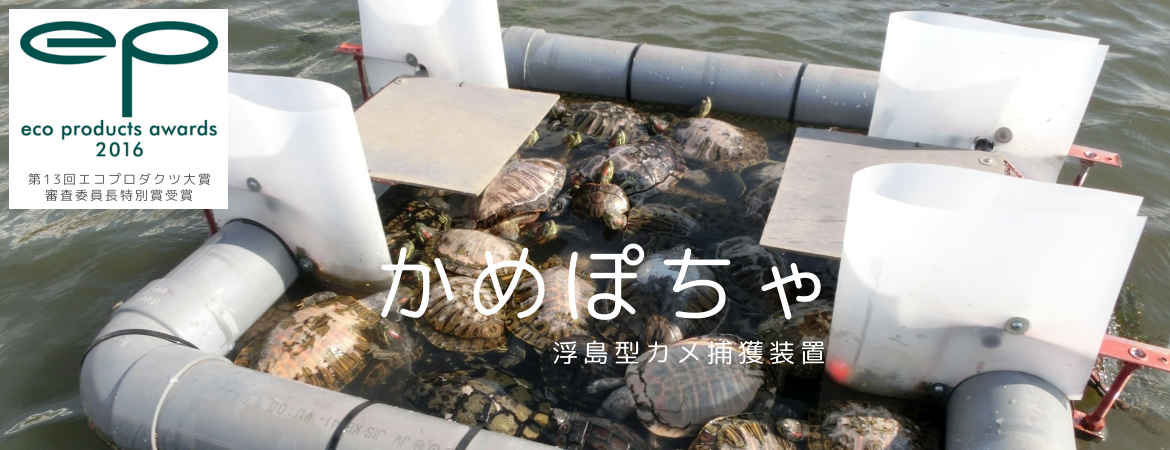 浮島型カメ捕獲装置（かめぽちゃ）