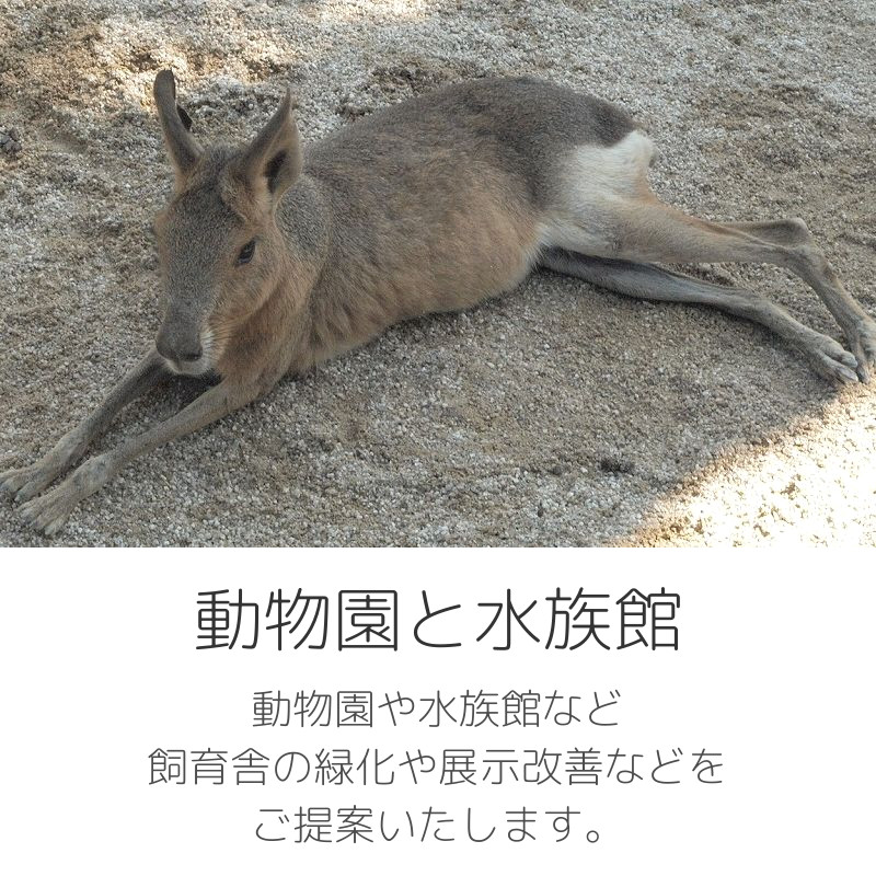 ＜動物園と水族館＞