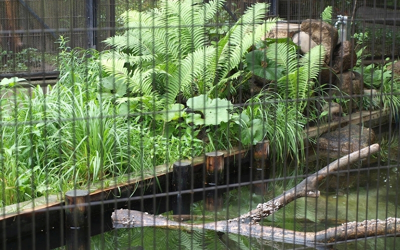 photo アクアマリンふくしま