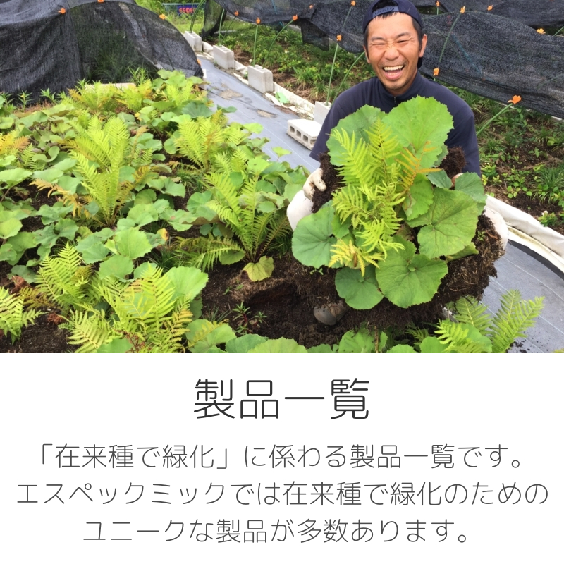 生物多様性を考えた製品一覧です。