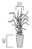 萱株苗の仕様