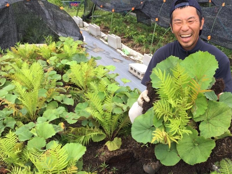 林床植生マットの生産風景 especmic