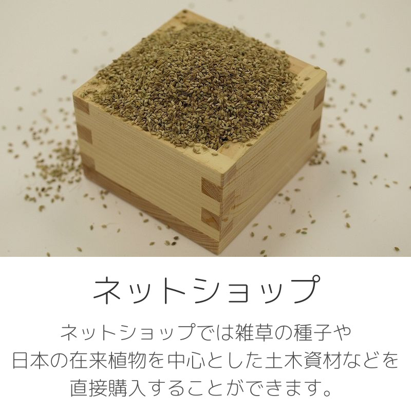 ＜ネットショップ＞雑草のたね（種子）や日本の在来植物を中心とした緑化資材などの販売を行っています。