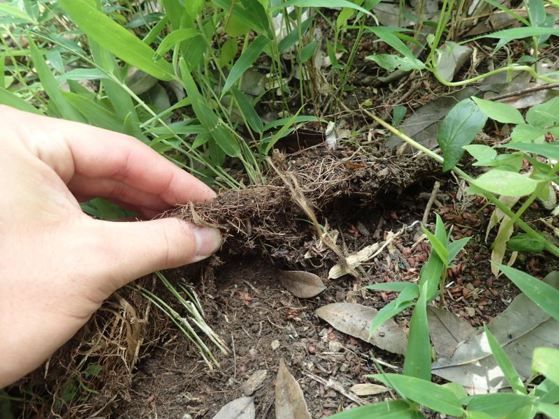 5ヶ月後の状況