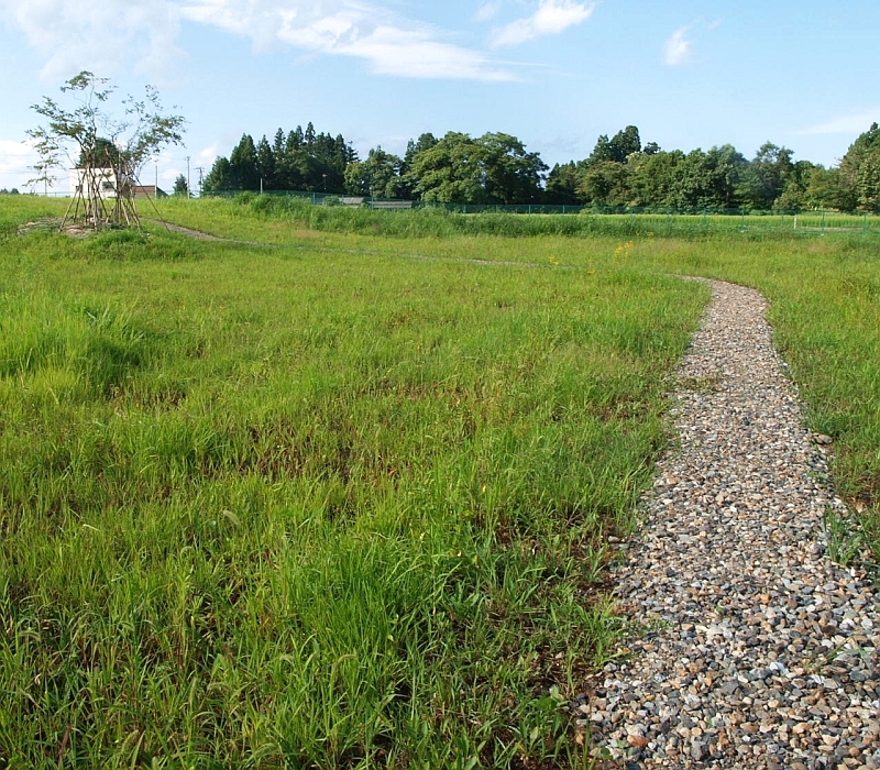 工場跡地に創出した在来種草地