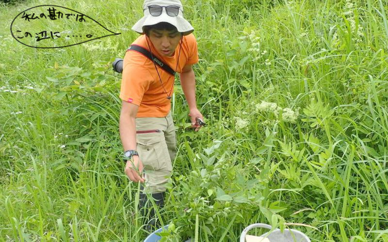 生物多様性|植物の分布調査