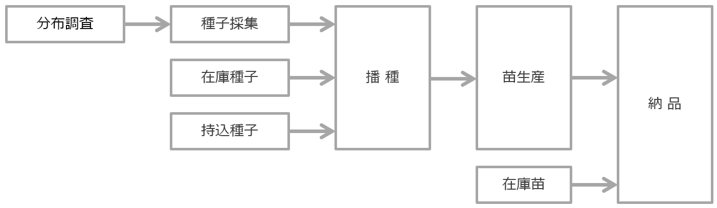 生物多様性|地域性種苗の生産フロー