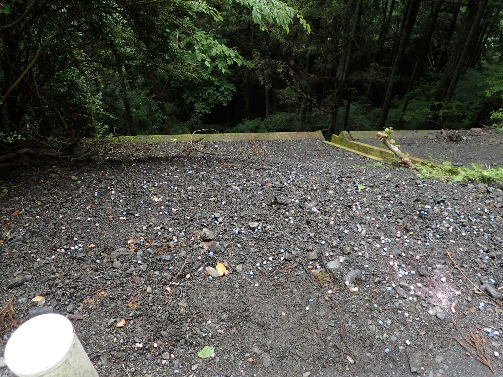 ペレット種子を播種する前の治山現場