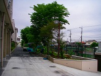 tamakougyoukoukou_04