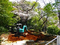 tokyo_tousenji_110406