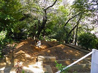tokyo_tousenji_110413