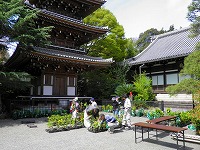 tokyo_tousenji_110416_01