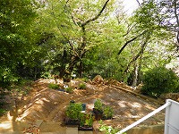 tokyo_tousenji_110416_02