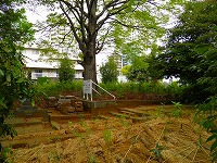 tokyo_tousenji_110418_03