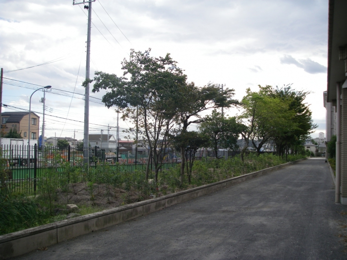 森の緩衝帯をつくる 事例紹介 エスペックミック株式会社 森の緩衝帯をつくる 事例紹介 エスペックミック株式会社